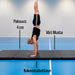AirTrack Nordic Gymnastics Mat 245x120x4cm
